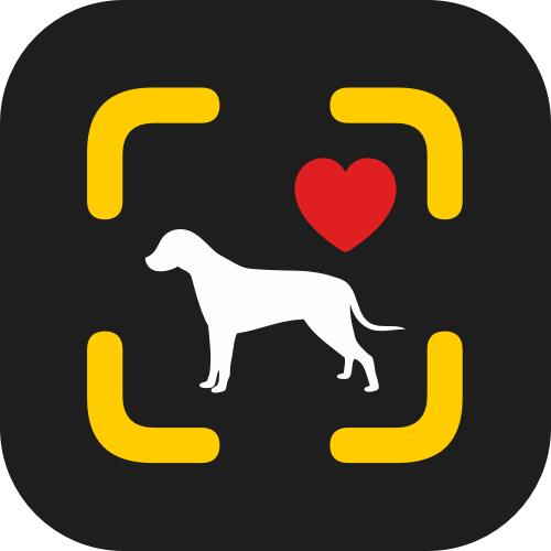 Dog Detector app icon